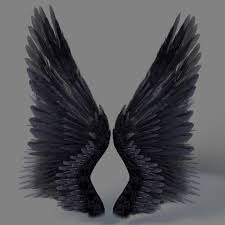 Realistic Wings 3d Model Asas De Anjo Asas Desenho Arte Com Rabiscos