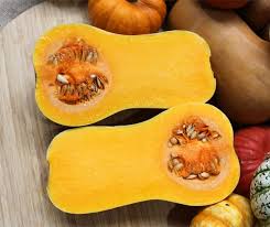 Image result for Cucurbita moschata