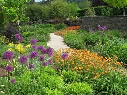 Rhs Garden Rosemoor Devon England Beautiful Flowers Garden Beautiful Gardens Meadow Garden
