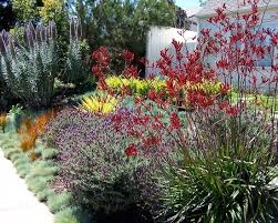 Pin On Backyard Redesign