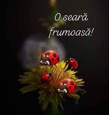 O seara frumoasa prieteni dragi youtube. BunÄ Seara Imagini Frumoase Facebook