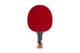 Stiga Pro Ping Pong Paddles Ping Pong 10 Things