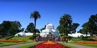 The first tuesday of every month is free at the conservatory of flowers in san francisco. San Francisco Conservatory Of Flowers Visit California