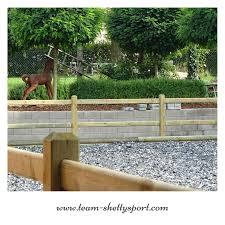 Reitplatz Reiten Pferdegeschirr Zimmer Reitanlage