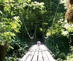 With a friend and a few simple materials, you can do some simple scientific experiments that will let you. Building A Small Cable Suspension Bridge The Basics Plus A Video Demo 10 Steps With Pictures Instructables