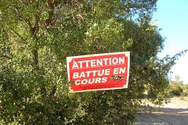 Un des plus belles randonnées pour découvrir le tunnel (où passait l'eau qui allait à nîmes depuis uzès), le pont du gard, et les restes de l'aqueduc partez à la découverte de petits villages de l'uzège, des amas de grès et de quartzites classés par andré malraux, des vestiges de cabanes de. Eure Chasseurs Et Promeneurs Quelles Sont Les Regles Pour Cohabiter En Toute Securite La Depeche Evreux