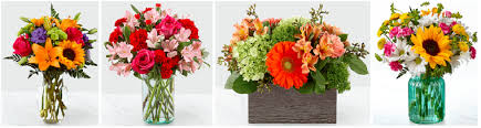 See what tammy edmonds (coupclip) has discovered on pinterest, the world's biggest collection of ideas. The 5 Best Options For Flower Delivery In Edmond Oklahoma 2021