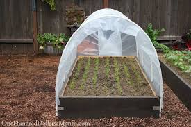And others will give you a large greenhouse that's worthy of a commercial farm. 35 Great And Cheap Diy Greenhouse Projects Ideas Listinspired Com
