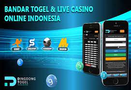 Pin Di Loca88 Com Dingdong Live Ball