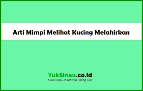 Atau mimpi di gigit mimpi digigit kucing menurut primbon. Arti Mimpi Melihat Kucing Melahirkan Menurut Primbon Jawa