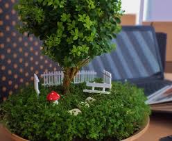 Miniature garden began as an experiment in 2008 by artist denise schatz. Miniature Bonsai Gardens Bonsai Empire