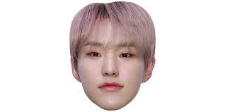 Here you'll find the latest news, photos, videos and everything. Hoshi Seventeen Maske Aus Karton Celebrity Cutouts