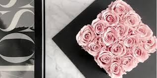 Carnations symbolize the pledge of love and a promise of marriage. Live Flowers That Last All Year And Don T Require Watering Forever Rose Brands