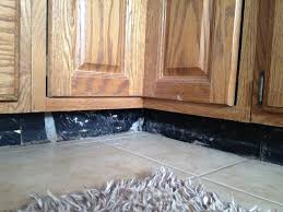 Can they be purchased and would you suggest keeping them oak in color. Kitchen Toe Kick Doityourself Com Community Forums