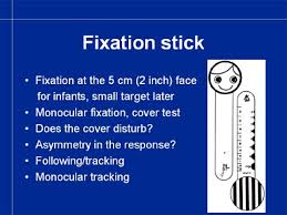 Image result for Visual Fixation