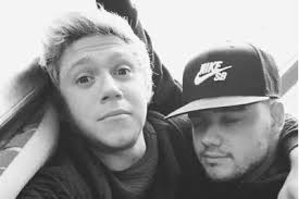 One Direction Sick Fics