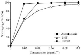 Image result for Lecaniodiscus
