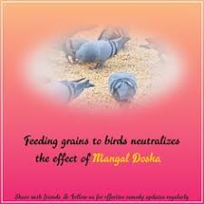 Get the monthly horoscope of cancer in june 2021 and know how this month is going to be for the people of cancer. Ganeshaspeaks Com Ganeshaspeaks Profile Pinterest