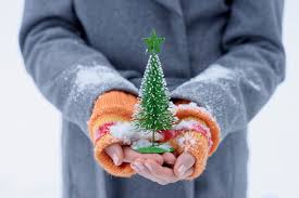 Check spelling or type a new query. Teenage Girl Holding Little Christmas Tree Stockphoto