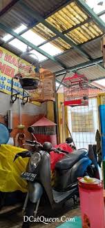 Satu kendala jika membuat mie ayam sendiri di rumah adalah racikan bumbu dan minyak ayam yang biasanya diberikan abang mie ayam gerobakan ke dalam. Mie Ayam Jamur Enak Di Jakarta Mie Ayam Jamur Bank Bedo Review Mie Ayam Jamur Rumahan Mie Ayam Jamur Bank Bedo Palsu
