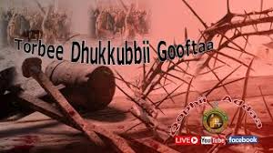 Zelalem abela, zelalam abera, zelalem demissie. I Ytimg Com Vi Psyb Q7w2ca Mqdefault Jpg