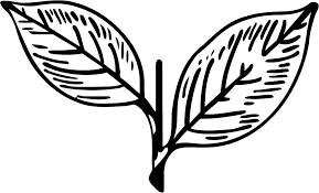 File Aiadmk Two Leaves Png Wikipedia