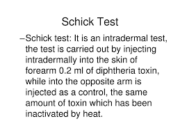 The schick test, developed in 1913, is a skin test used to determine whether or not a person is susceptible to diphtheria. Ppt Diphtheria Powerpoint Presentation Free Download Id 557051