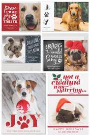 Check spelling or type a new query. Pet Lover Holiday Photo Cards Dog Cat Christmas Cards Partyideapros Com Funny Dog Christmas Cards Dog Holiday Cards Dog Christmas Card