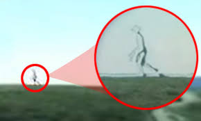 Maybe you would like to learn more about one of these? The Eight Foot Aliens Who Live On Earth 2 0 Daily Mail Online