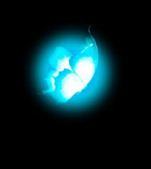 Butterfly Png 2 Butterfly Png Concept Photo Blue Butterfly