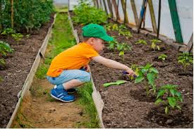 The Importance And Benefits Of Teaching Gardening To Children Toddlers To Preschoolers Montessori Nature