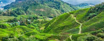 Which places can i visit in one day. Rundreise Authentisches Malaysia Ab Kuala Lumpur Tourasia Reise Angebot