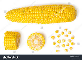 The kernels were small and were not placed close together like kernels on the husked ear of modern corn. Peeled Ear Corn Piece Seeds On Stock Photo Edit Now 1142315126 Corn Stock Photos Photo Editing