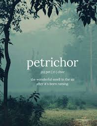Always Enjoyed This Smell When I Was Living In The Rural Environment Unusual Words Beautiful Words In English Weird Words