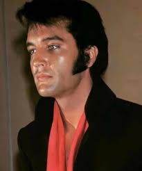 Our visit absolutely fantastic our dream come true