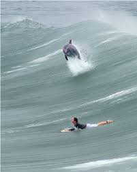 Pin By Cowboy Toffee Company On Scenery Surfing Waves Surfing Waves