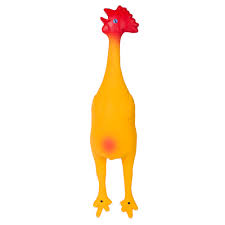 البحث عن أفضل شركات تصنيع صور مضحكه للدجاج وصور مضحكه للدجاج