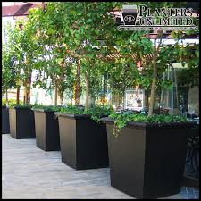 Do you assume extra large planters for trees appears to be like nice? Transforming A Concrete Jungle Into An Urban Oasis Planters Unlimited Blog