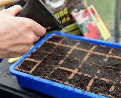 Erfahren sie alle wichtigen handgriffe für eine erfolgreiche bevor sie die samen aussäen, ist eine stimulierung zur keimung folglich angeraten. Tomaten Aussaen Und Vorziehen So Gelingt S Mein Schoner Garten