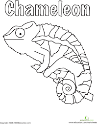 Color The Chameleon Worksheet Education Com Coloring Pages Rainforest Crafts Animal Coloring Pages