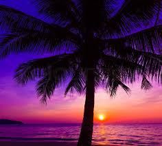 Pictures of beautiful sunsets over the ocean. Beautiful Sunset Sunset Over The Stock Image Colourbox