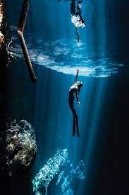 Scuba Diving Top 100 Best Diving In The Caribbean Atlantic Underwater Photography Underwater Photos Shark Diving