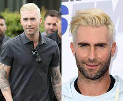 Adam levine stole the show on monday night's episode of the voice, showing off platinum blonde hair. Platinum Hair Men Buzz Cut Novocom Top