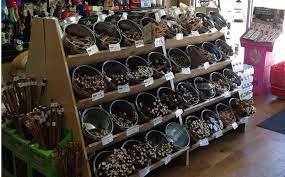 Once the americans with disabilities act passed in 1991, landlords had to. Natural Pet Food Store Denver Greeley Windsor Colorado Pet Store Ideas Pet Store Display Pet Store Design