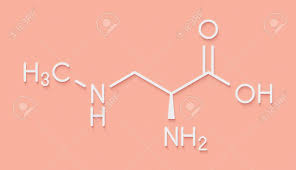 Beta Methylamino L Alanin Bmaa Toxisches Aminosauremolekul Produziert Von Cyanobakterien Skelettformel Lizenzfreie Fotos Bilder Und Stock Fotografie Image 84706016
