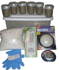 Apr 11, 2019 · in 1995, psilocybe fanaticus, a magic mushroom enthusiast, published an excellent method for home growing in canning jars. Maximumstore Simple Mushroom Growing Kit 6 Jars Grow Mushrooms Fast Buy Online In Andorra At Andorra Desertcart Com Productid 63498763
