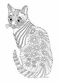 You could also print the picture. Kitten Cat Coloring Pages For Adults Novocom Top