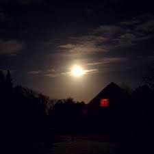 My Monsieur Is My Full Moon In My Darkest Hours He Shines Bright And Leads Me Back To Happiness Happiness Comes From Within Chasing Lights Flower Pictures