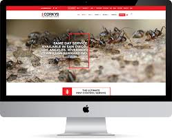 Corkys' has many termite control treatments. Corky S Pest Control Website Development Ppc Seo Social
