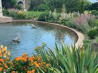 Summer Plant Walk